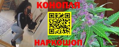 наркотики Камышлов