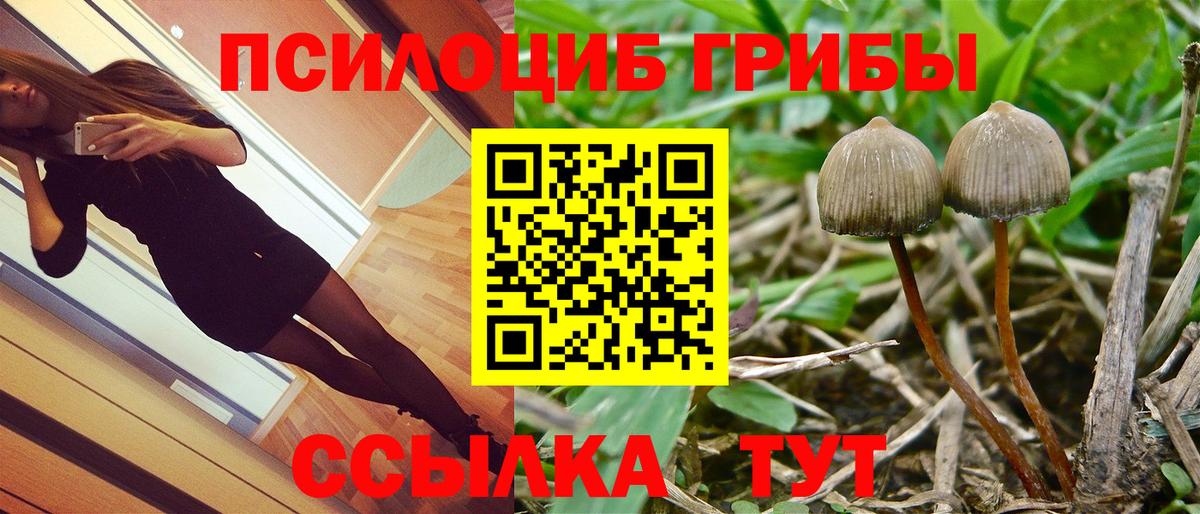 Псилоцибиновые грибы прущие грибы  Вход с VPN  Шахты  Галлюциногенные грибы мицелий 